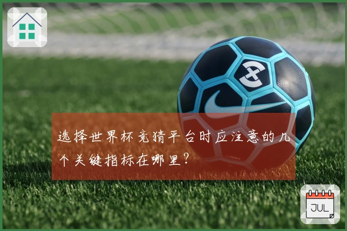 选择世界杯竞猜平台时应注意的几个关键指标在哪里？